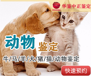 自贡动物亲子鉴定