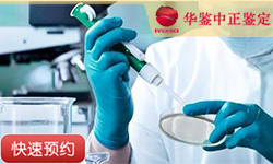 自贡父系亲缘鉴定